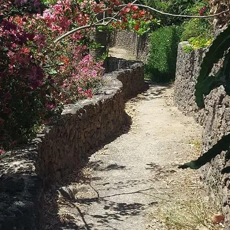 Casa Oksa