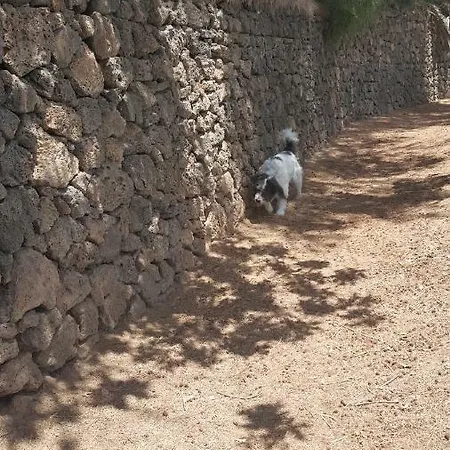 Casa Oksa *